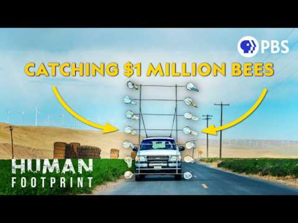 YouTube video by PBS Terra