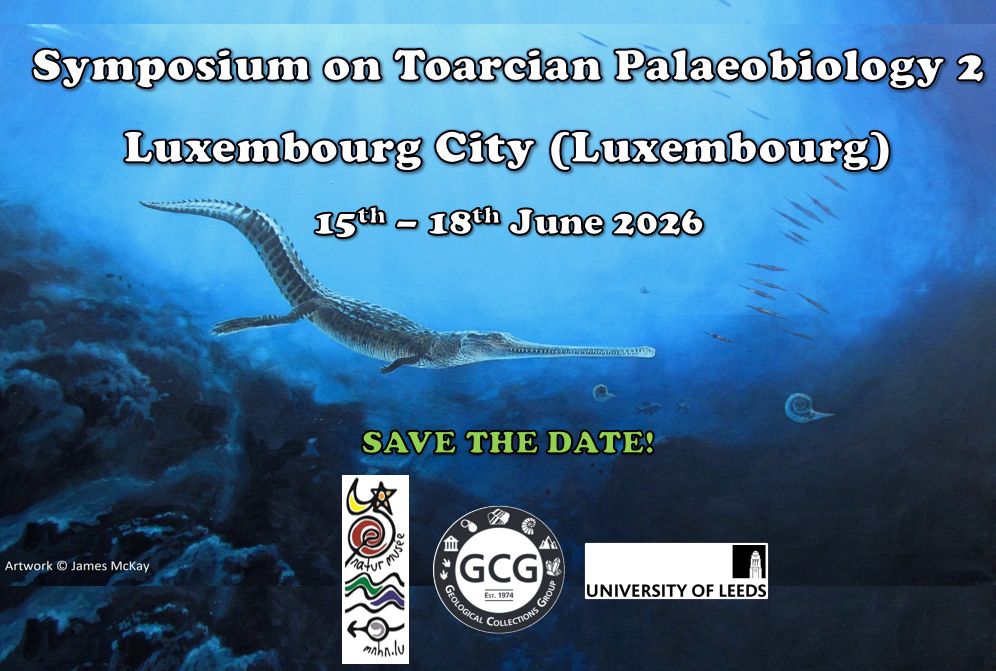 Symposium on Toarcian Palaeobiology 2
Luxembourg City (Luxembourg)
15th - 18th June 2026 

Save the date! 

The background features a painting by James McKay of a Toarcian crocodylomorph. 

Organised by the Musée national d’histoire naturelle Luxembourg (National Museum of Natural History Luxembourg), the Geological Collections Group, and the University of Leeds.