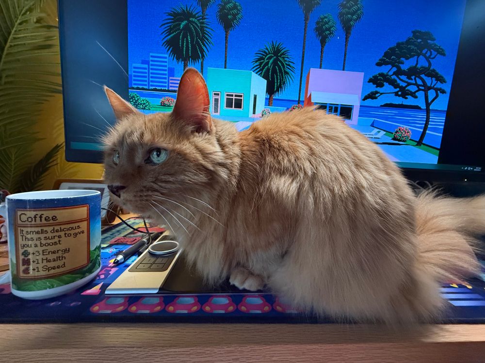 My fluffy orange cat perching on my screenless drawing tablet, waiting for pets, which is preventing me from working / drawing. A cup of coffee in a Stardew Valley mug is next to him.
