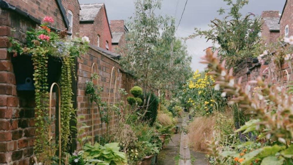 The inner-city alleys being turned into paradise passages