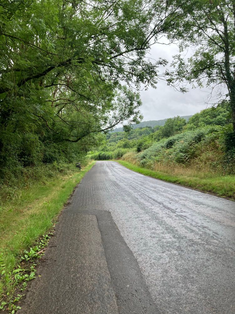 Rural street in Brockweir. Road with grass verges (with brambles growing over it) and no pavement 