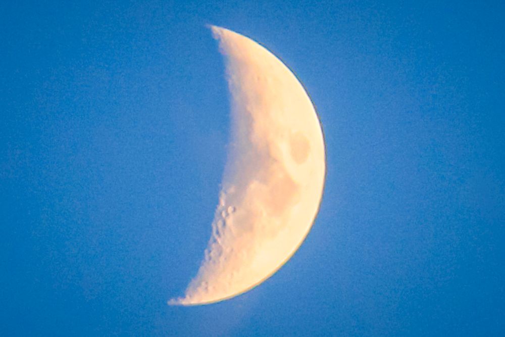 Close up of waxing crescent moon with an early cerulean sky 