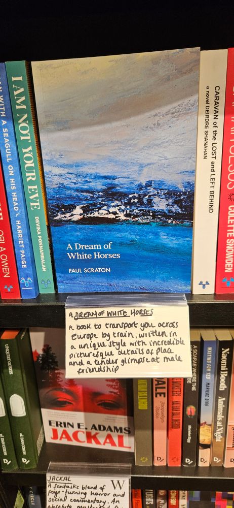 Book with a blue cover. A handwritten review has been placed below the book.