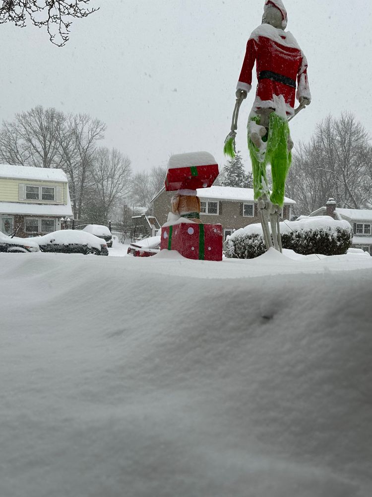 snow in front yard