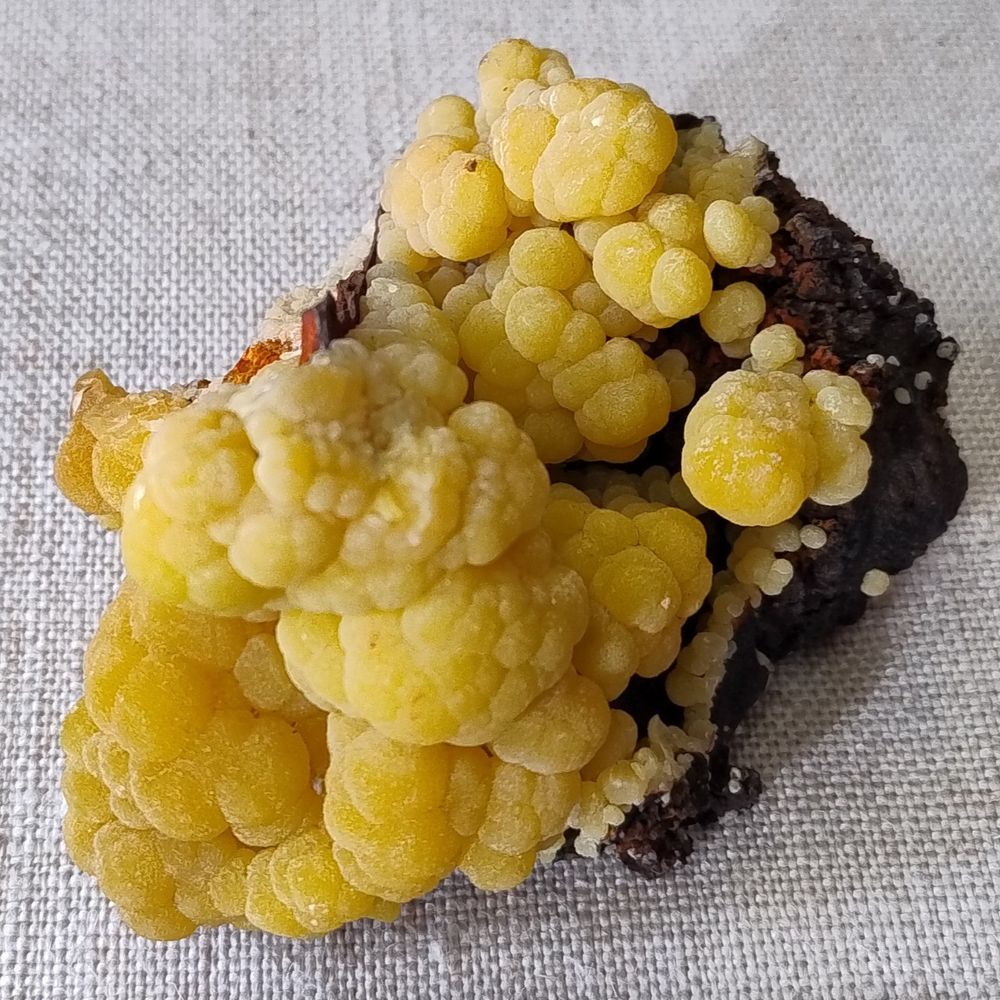 A mass of rich yellow globular mimetite aggregates on brown limonite. From San Pedro de Corralitos, Durango, Mexico.

Specimen on display in the Natural History Museum, London.