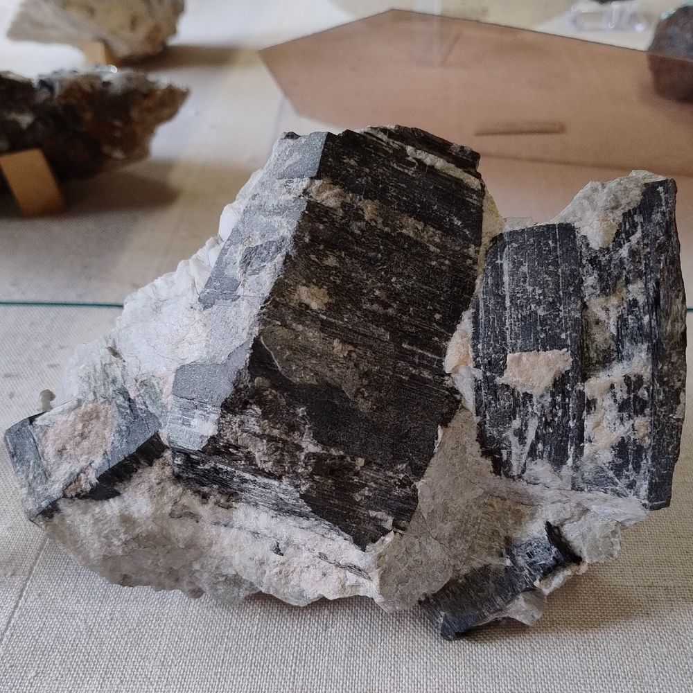 Bulky-looking black pirsms of biotite in a grey pegmatite. From Langesundsfjord, Norway.

Specimen on display in the Natural History Museum, London.