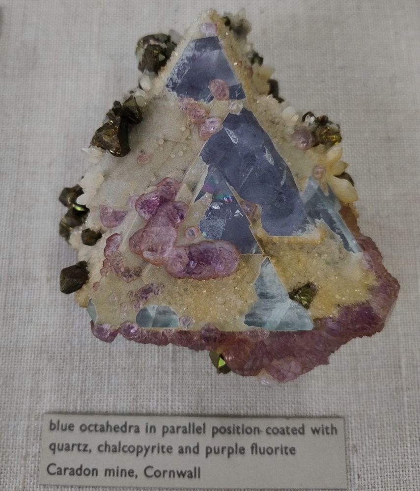 A triangular shaped specimen which resembles a pizza slice. There's a bed of fine, minute white to off-yellow quartz crystals (like cheese on a pizza). This quartz is partially covering blue fluorite octahedra, which have triangular faces all pointing upwards in the same direction. Embedded in the specimen are some purple fluorite crystals and golden coloured chalcopyrite.

Label text: Blue octahedra in parallel position coated with quartz, chalcopyrite and purple fluorite. Caradon Mine, Cornwall.

Specimen on display in the Natural History Museum, London.