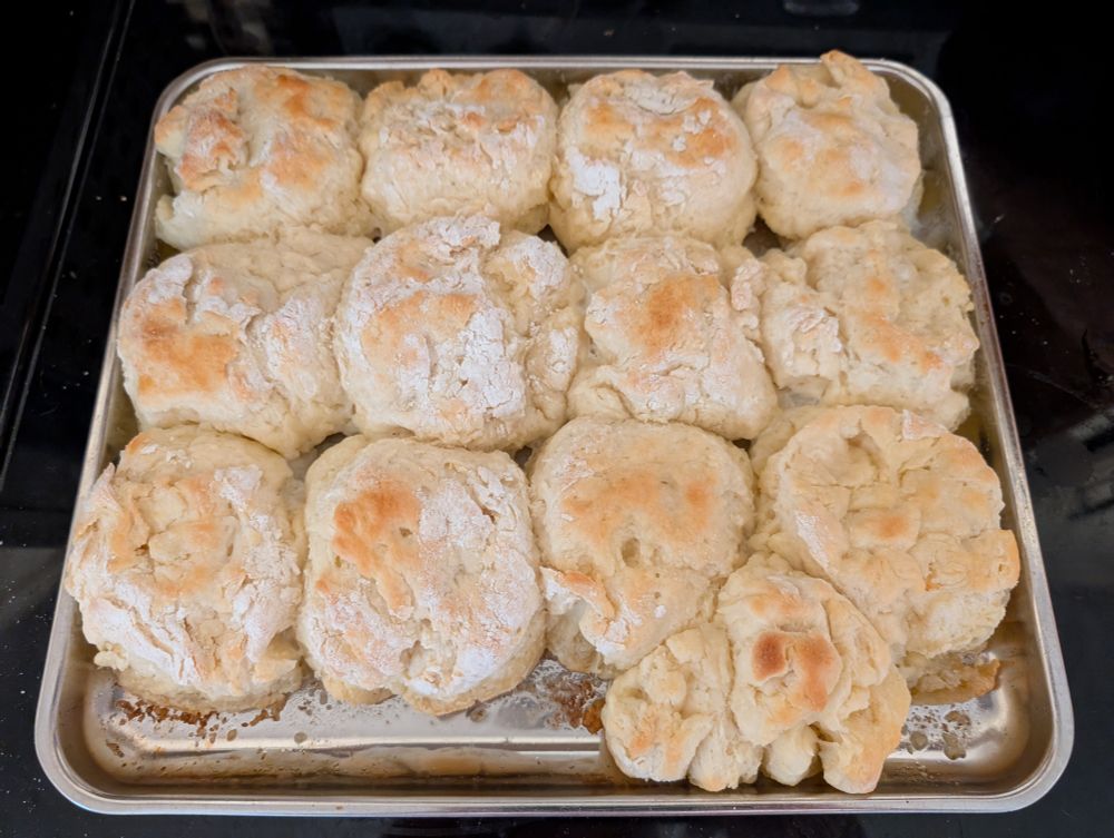 White Lily biscuits, made with love (and with lots of help from the kids). 