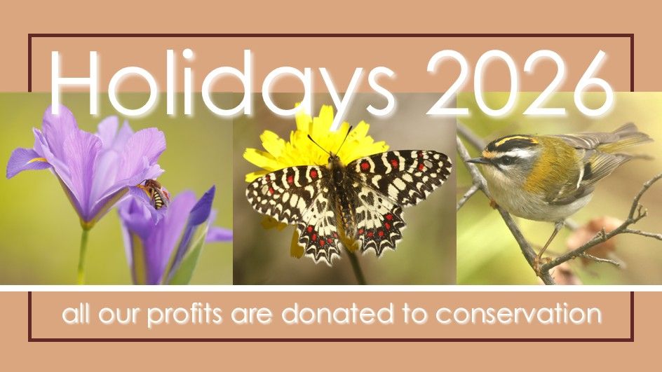 Download our holiday brochure for the year ahead and travel with us in 2026