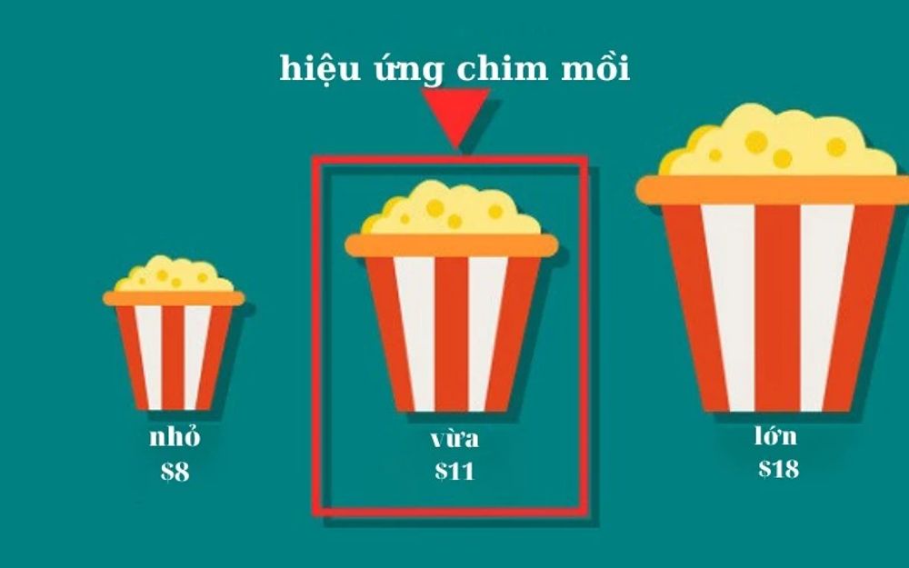 Hiệu ứng chim mồi: Định nghĩa và ứng dụng thực tế