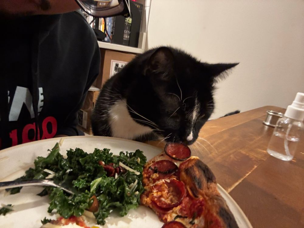 a bad tuxedo cat leaning over a plate and attempting to grab a pepperoni from a pizza