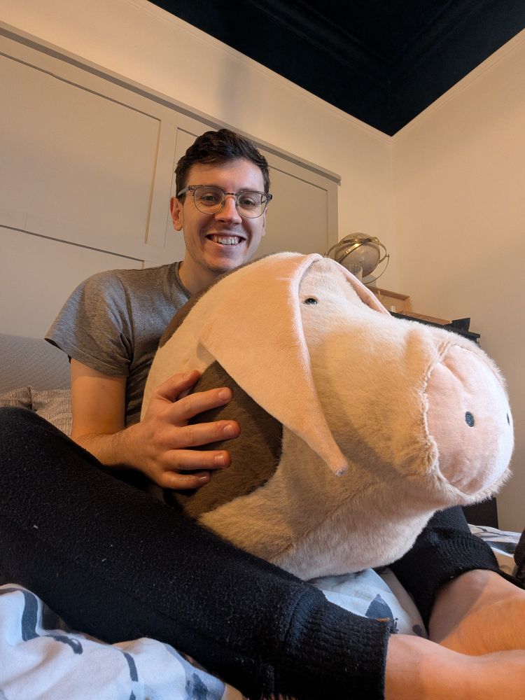 Picture of me holding a giant plush pig 