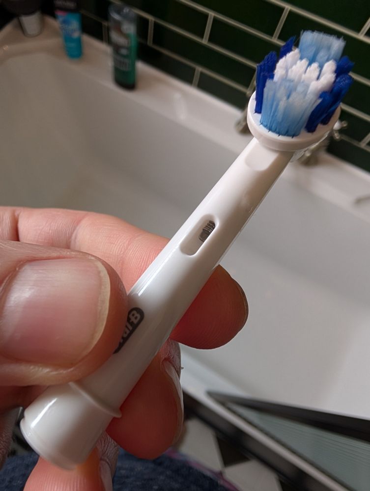 Photo of toothbrush head