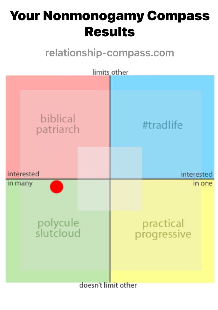 My results of an online quiz about my interest in poly relationships.