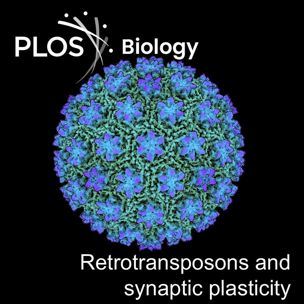 Structure of the capsid of retrotransposon Copia, as determined by cryo-electron microscopy. Credit:  Travis Thomson and Brian Kelch