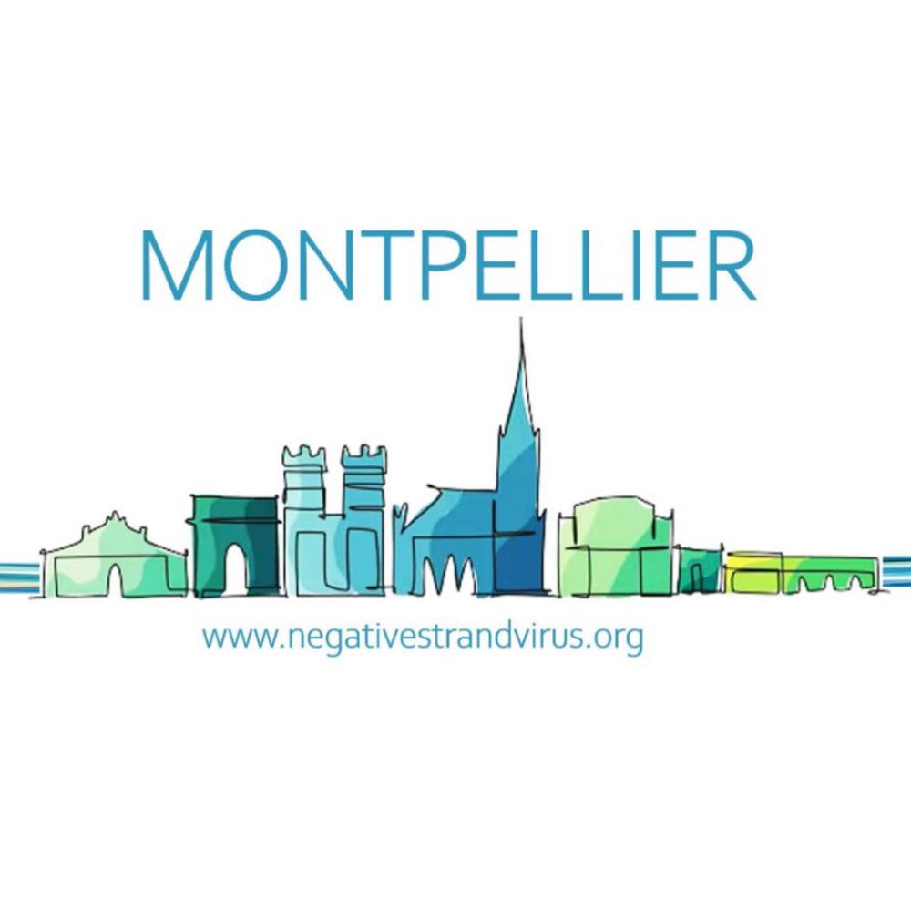 Logo of NSV2025 conference with a drawing of the Montpellier skyline