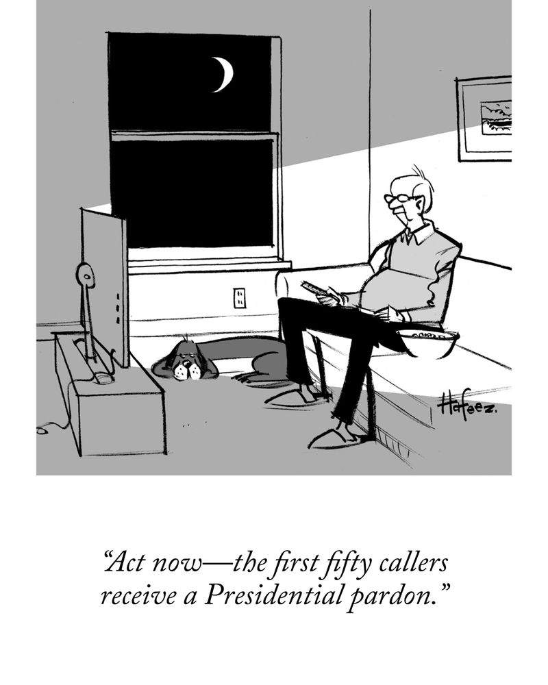 A person sits on a couch in front of a TV. The caption reads, “Act now—the first fifty callers receive a Presidential pardon.”
