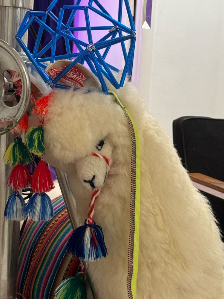 snarky llama