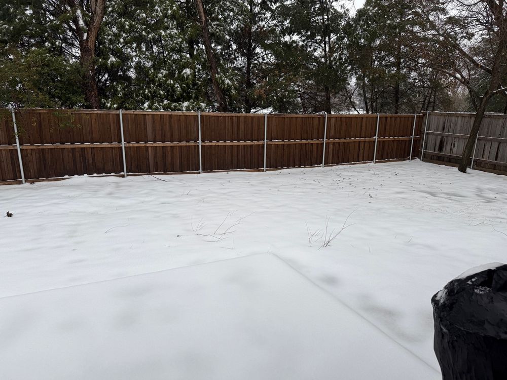 My backyard, with a mixture of snow & ice on the ground.