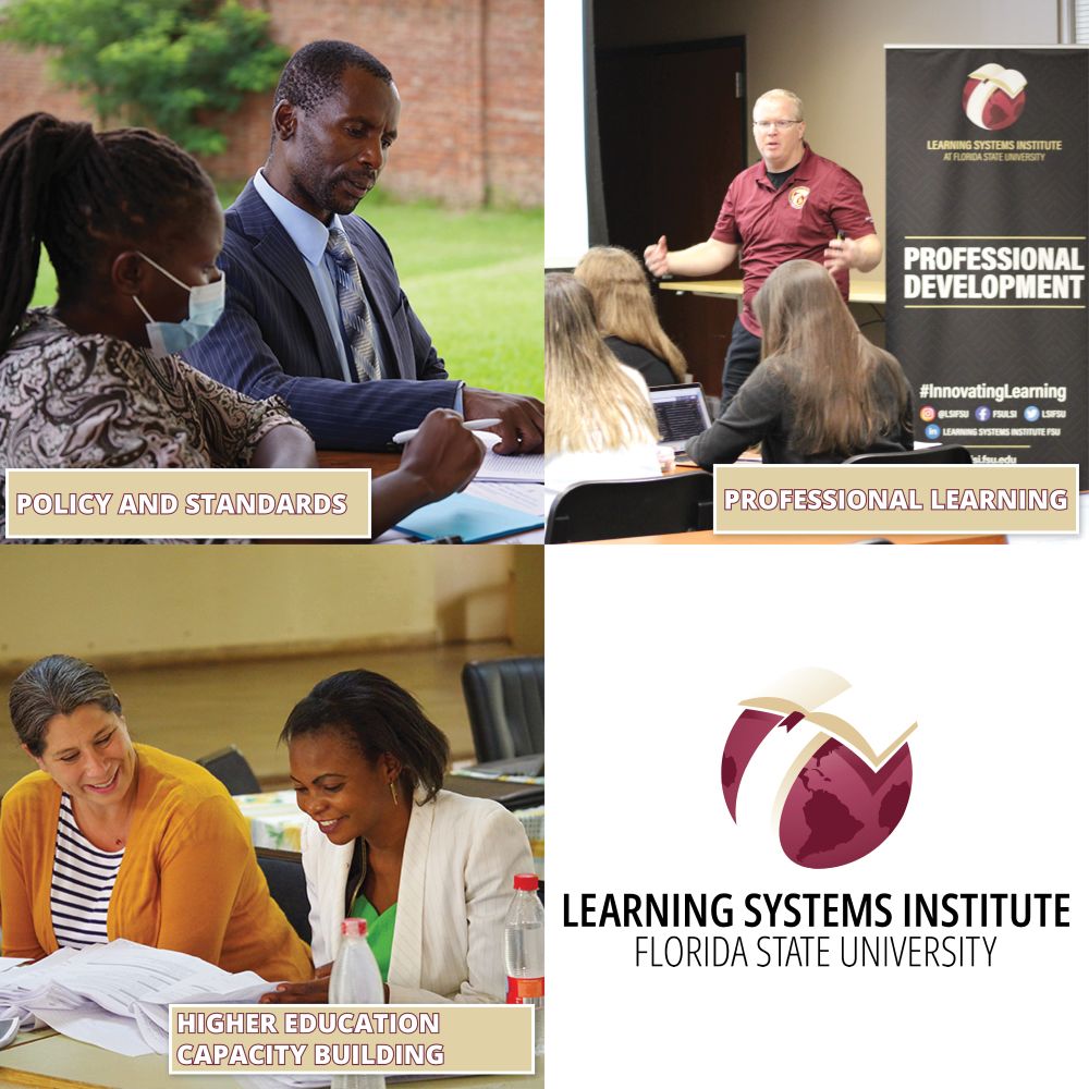 A graphic with four photos. Each one represents an area of LSI's expertise in policy and standards, professional learning and higher education capacity building. The LSI globe logo is in one square