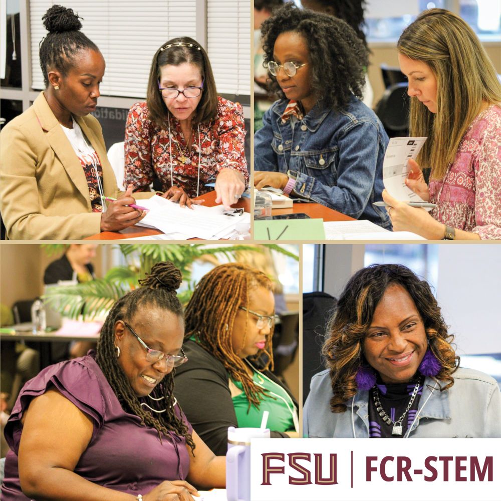 Graphic with four photos and the FCR-STEM logo. The photos are of participants in the writing training working together at tables. 