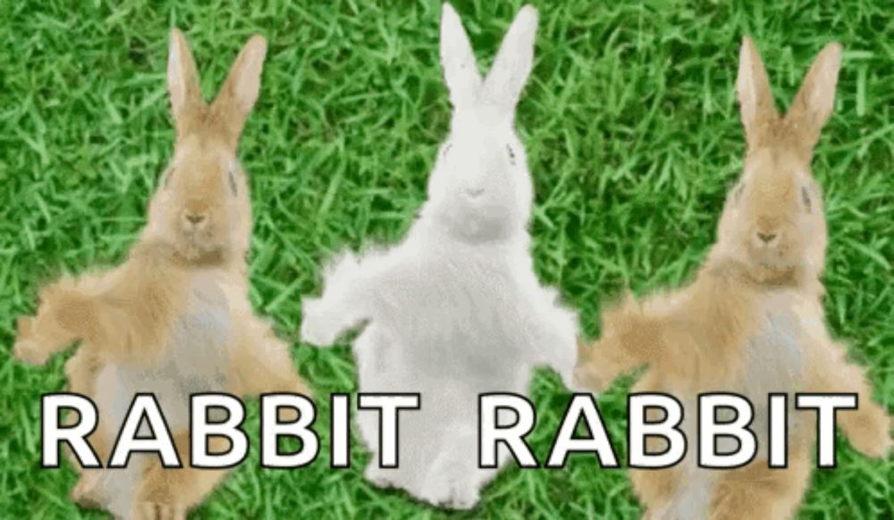 three rabbits are standing in the grass with the words `` rabbit rabbit '' above them .