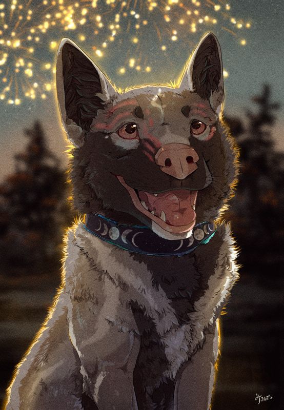 A young original character canine with tan and dark brown fur a pink nose and pink facial markings with pink eyes. They look up with a smile toward fireworks lighting off around them. They wear a dark color with starts and moon phases on them.