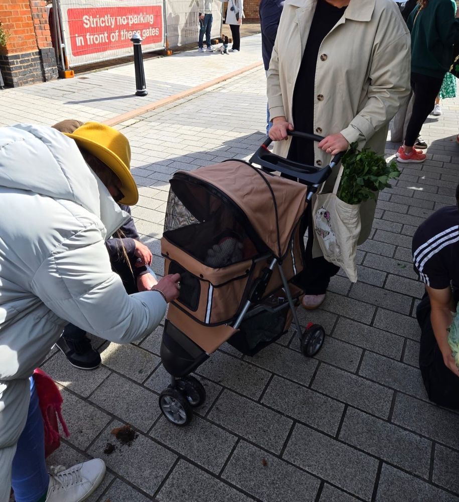 Piggies in their pram being fussed over by other shoppers 