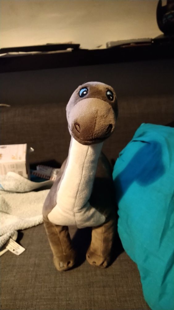 Kleiner Dino schaut einen an