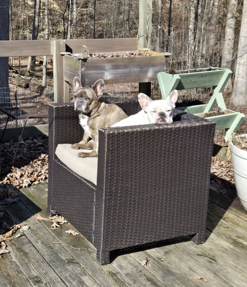 These boys are ready for spring!