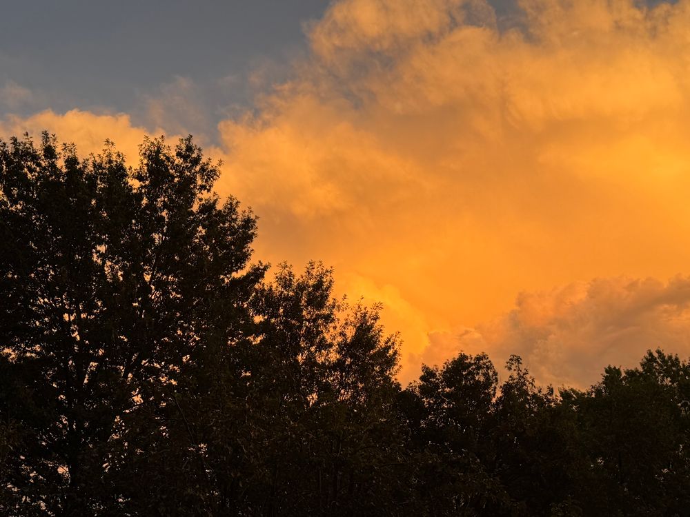 Enormous orange clouds against a clearing crystal blue sky, over the dark treetops of the park. 