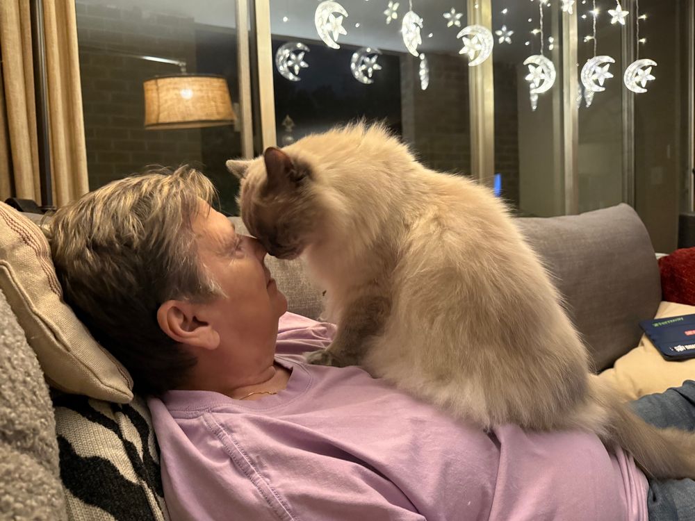 Kitty standing on wife's chest, touching noses. 