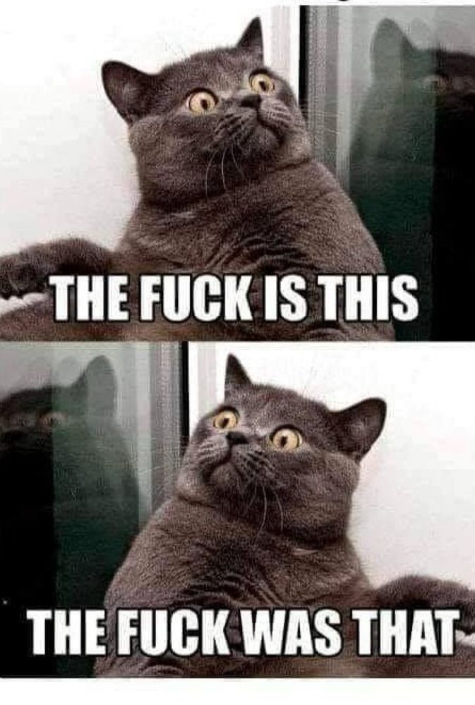Two panel cat meme:
THE FUCK IS THIS
THE FUCK WAS THAT