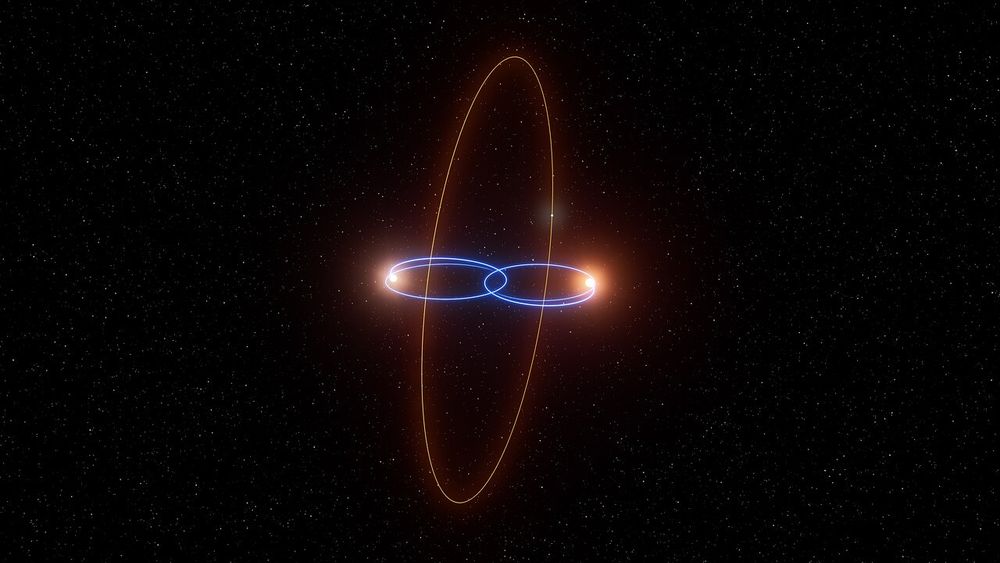 Image d'artiste d'artiste de l'orbite inhabituelle de l'exoplanète 2M1510 (AB) b autour de ses étoiles hôtes, deux naines brunes. La planète récemment découverte possède une orbite polaire, perpendiculaire au plan dans lequel évoluent les deux étoiles.