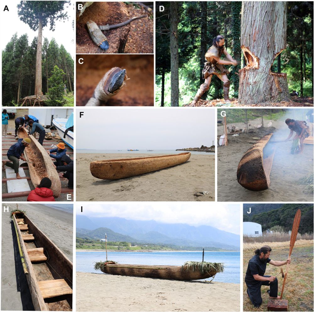 Photos du procédé de fabrication de la pirogue.
(A) Cèdre avant abattage. (B et C) Hache en pierre taillée avec manche en bois utilisée pour la coupe. (D et E) Découpe et façonnage de la pirogue. (F et G) Pirogue avant et pendant l'incinération. (H) Sièges en bois à l'intérieur et un fin bambou fixé sur le côté comme protection contre les vagues. (I) Pirogue terminée avant le départ, avec des protections contre les vagues en feuilles à l'avant (à droite) et à l'arrière (à gauche). Des perches verticales à l'avant et à l'arrière servent respectivement à une caméra et à un feu de poupe. Le câble à l'avant sert au remorquage. (J) Façonnage d'une pagaie monopale à l'aide d'une herminette en pierre taillée