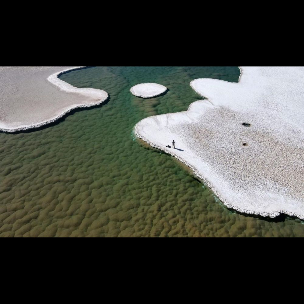 Microbes in Atacama desert's lost lagoons may mirror early life on Mars