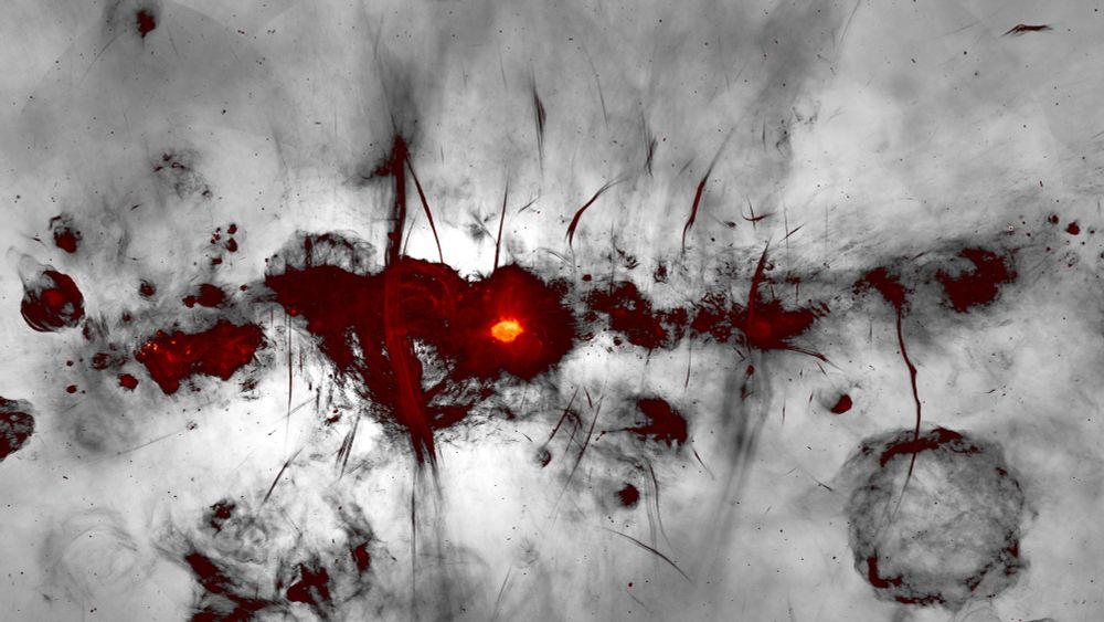 image par MeerKAT du centre galactique présentée avec le plan galactique horizontal sur l'image. De nombreuses caractéristiques radio, nouvelles ou déjà connues, sont mises en évidence, notamment des restes de supernova, des régions compactes de formation d'étoiles et l'importante population de mystérieux filaments radio.
