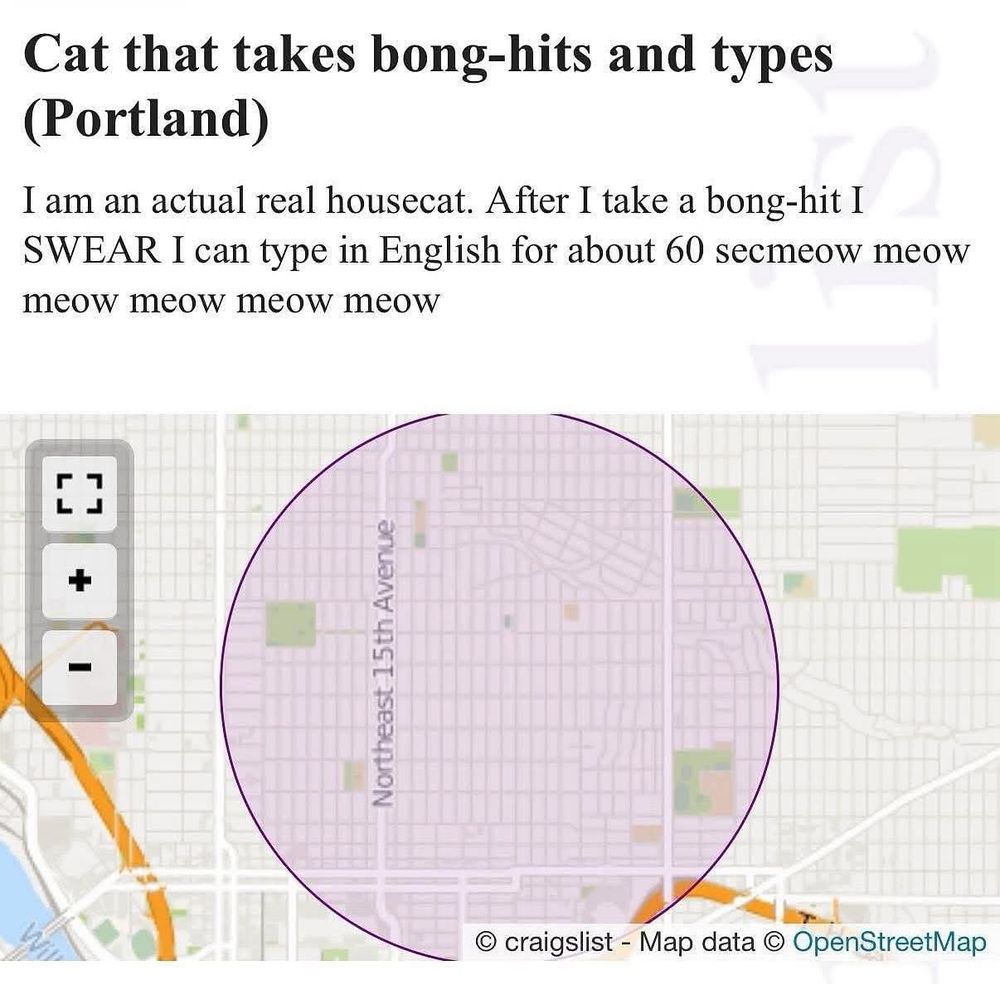 Cat that takes bong-hits and types (Portland)
I am an actual real housecat. After I take a bong-hit I SWEAR I can type in English for about 60 secmeow meow meow meow meow meow
7
+
Northeast 15th Avenue
© craigslist - Map data © OpenStreetMap