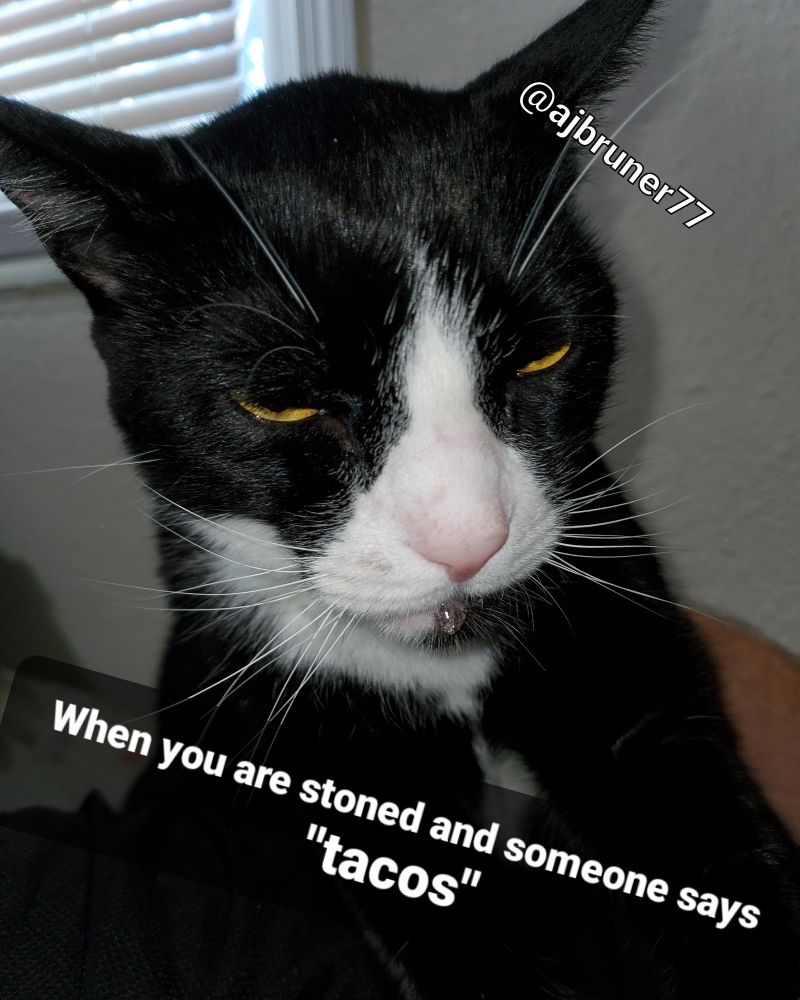 Comment image