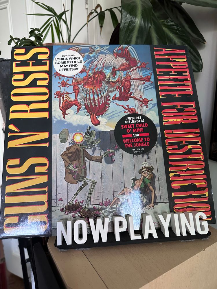 Album cover GunsN’ Roses Appetite for Destruction 