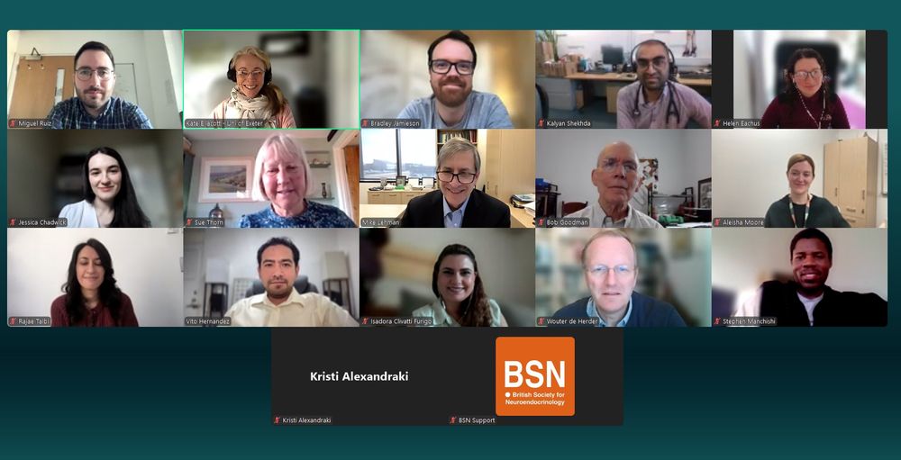 Image of a zoom screen of the faces of the people on the first Journal of Neuroendocrinology early career researcher editorial board