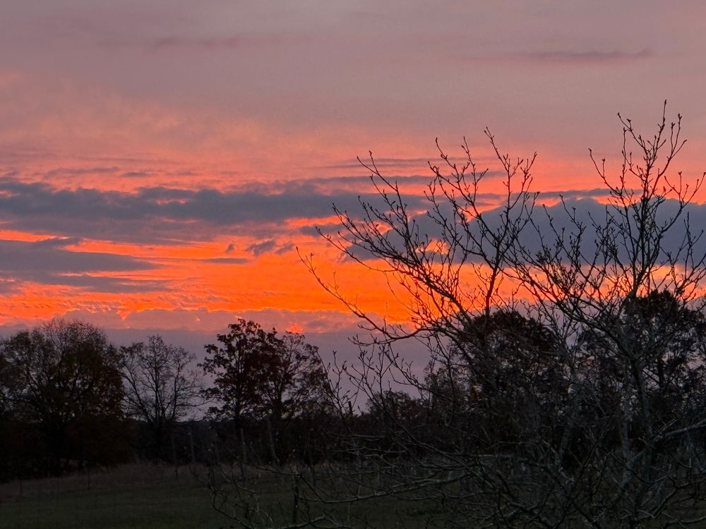 Orange, pink, pale blue, and lavender sky behind the silhouette of trees and bushes.
