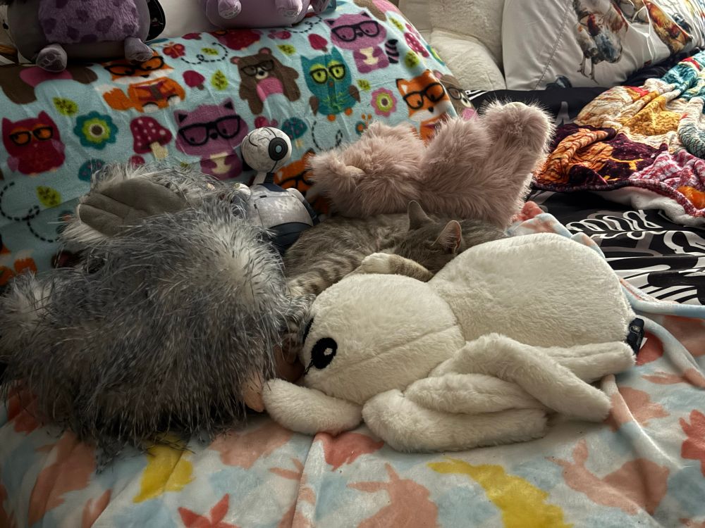 Her sibling also a gray and black striped tabby is mostly buried in a pile of stuffed animals consisting of a pink pig, a white spider, a gray chicken, Rozum 7134 a wild robot all lying on a pastel colored bunny blanket.