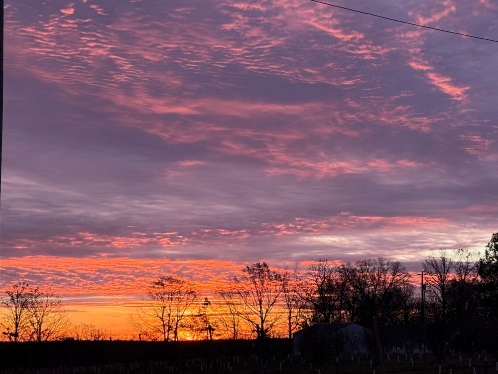A paler image of the first dawn photo with stripes in yellow and orange, dark orange and purple, purple and pale blue, and purple and pink.