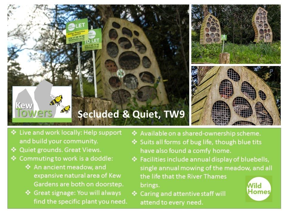 To let bee and bug hotels