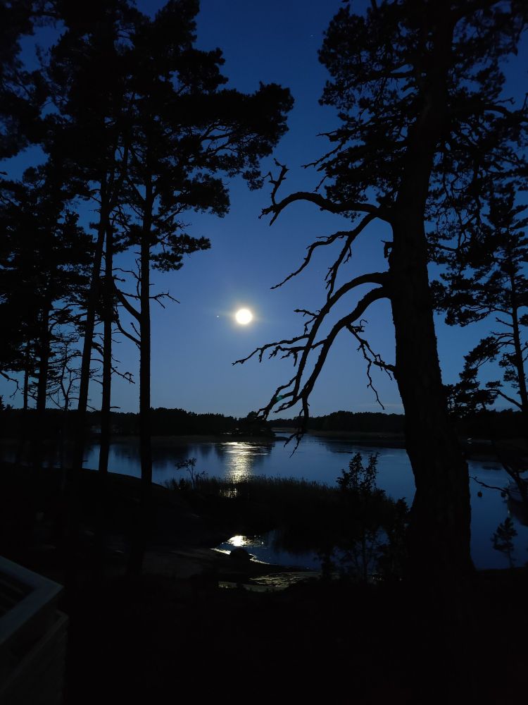 Kuu valaisee meren yllä, hongat ympäröi reunoilla tummina siluetteina
