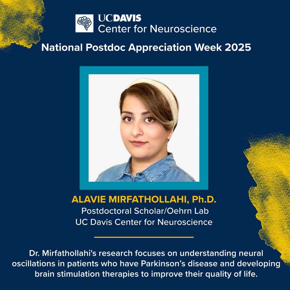 UC Davis Center for Neuroscience postdoc spotlight: Dr. Alavie Mirfathollahi, studying neural oscillations and brain stimulation therapies for Parkinson’s disease.