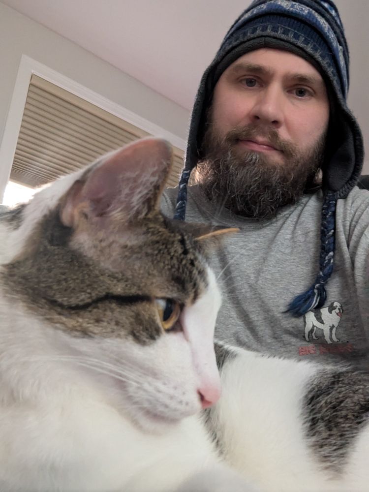 A cat pointedly ignores his cat parent while sitting on their lap