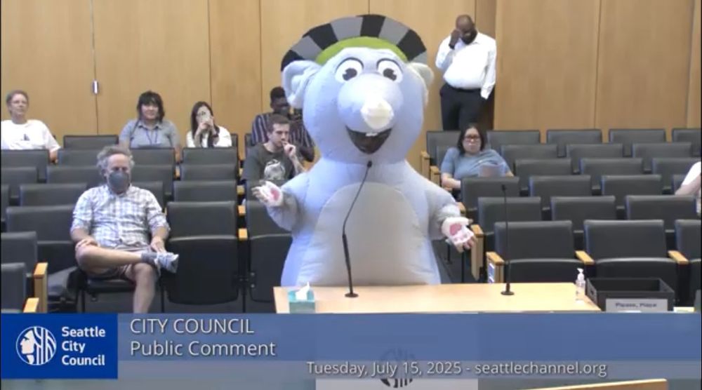A photo taken from a livestream of a Seattle city council meeting featuring a large rodent (an inflatable costume) by the name of Saint Rat making a public comment. St. Rat is wearing a medieval style halo.