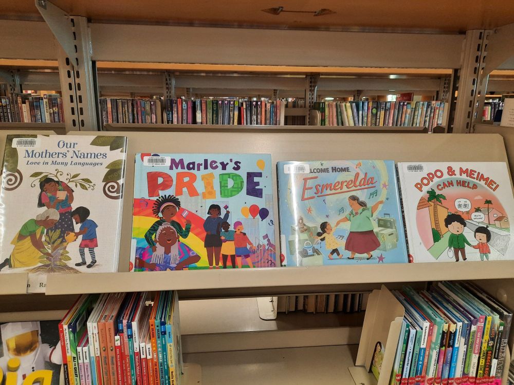 Picture books on a front-facing display at a public library: Our Mother's Names, Marley's Pride, Welcome Home Esmerelda, and Popo and MeiMei Can Help.